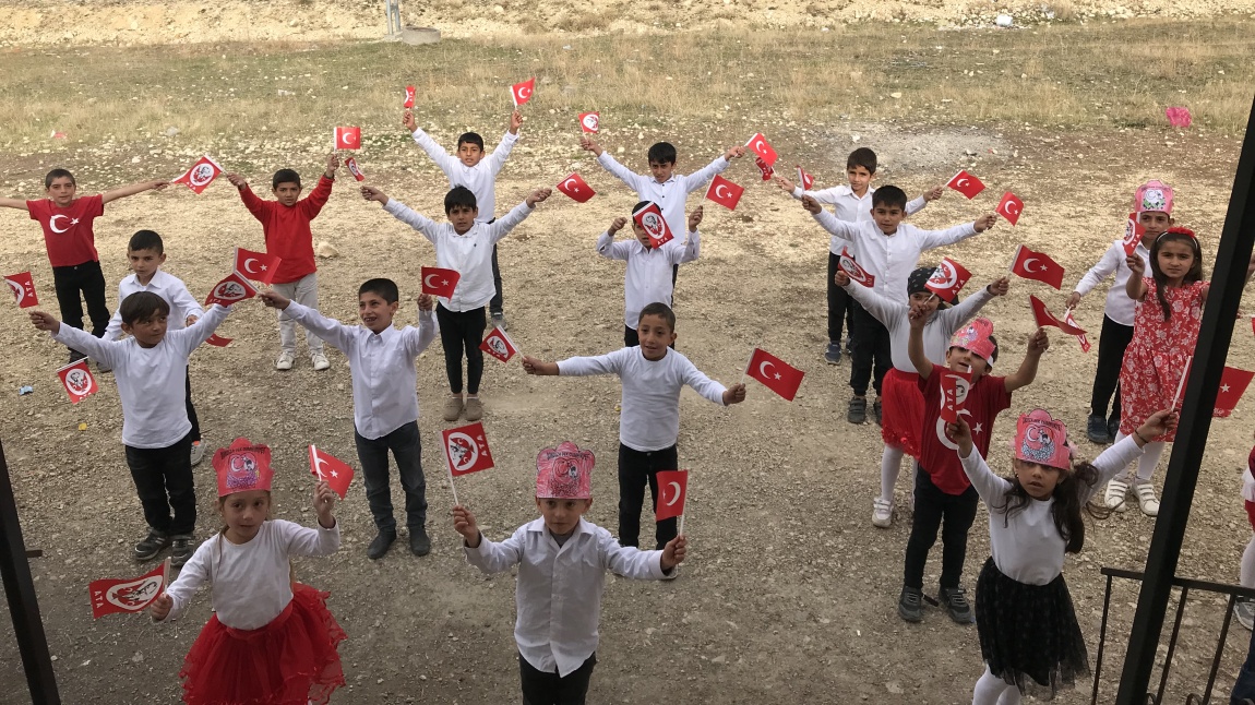 Yeni Şeyhhasan İlkokulu öğrencileri 29 Ekim Cumhuriyet Bayramını coşku ile kutladı